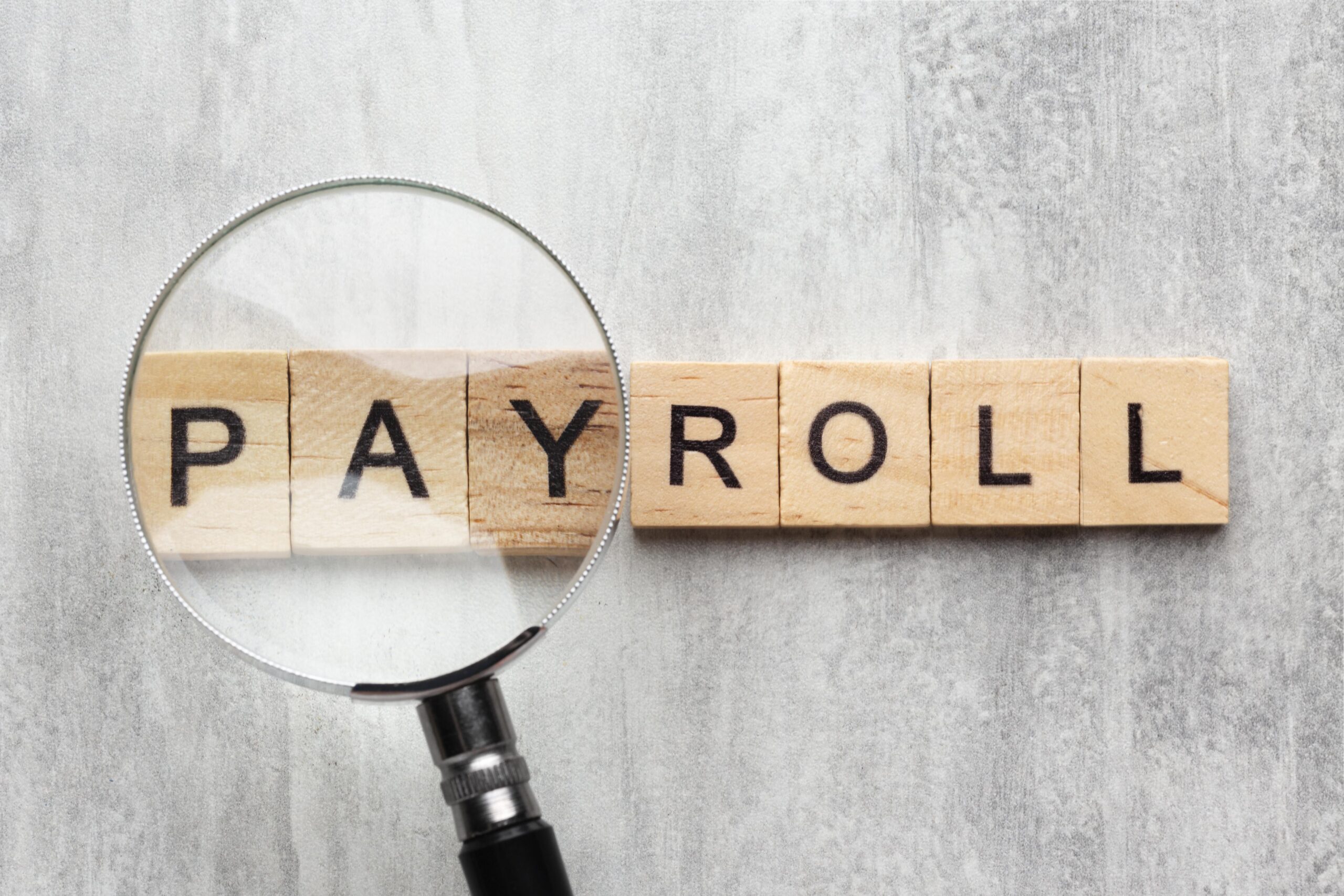 From Chaos to Clarity: Simplifying Payroll with Professional Services
